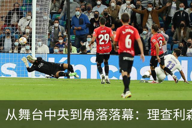 从舞台中央到角落落幕：理查利森的幽默坠落记